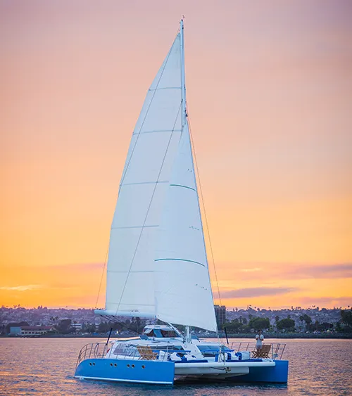Safara at sunset